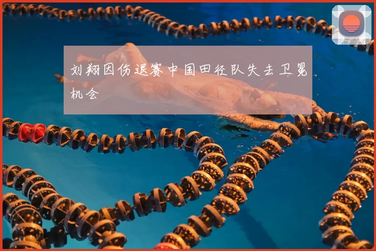 刘翔因伤退赛中国田径队失去卫冕机会