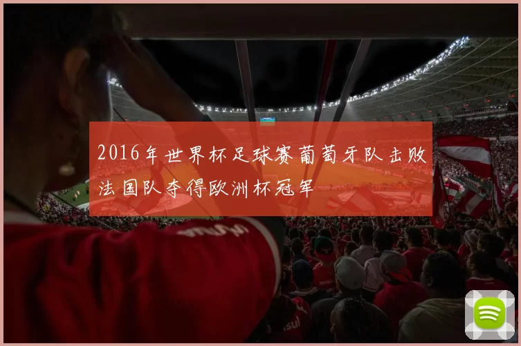 2016年世界杯足球赛葡萄牙队击败法国队夺得欧洲杯冠军