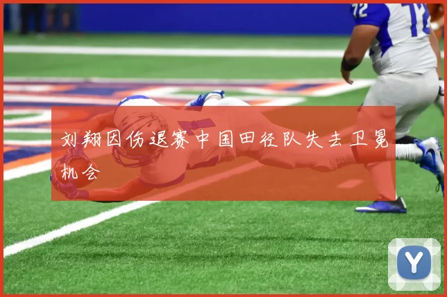 刘翔因伤退赛中国田径队失去卫冕机会