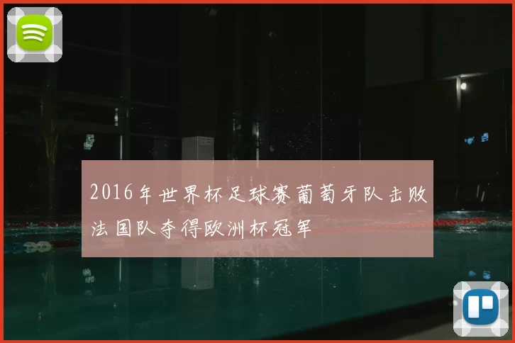 2016年世界杯足球赛葡萄牙队击败法国队夺得欧洲杯冠军